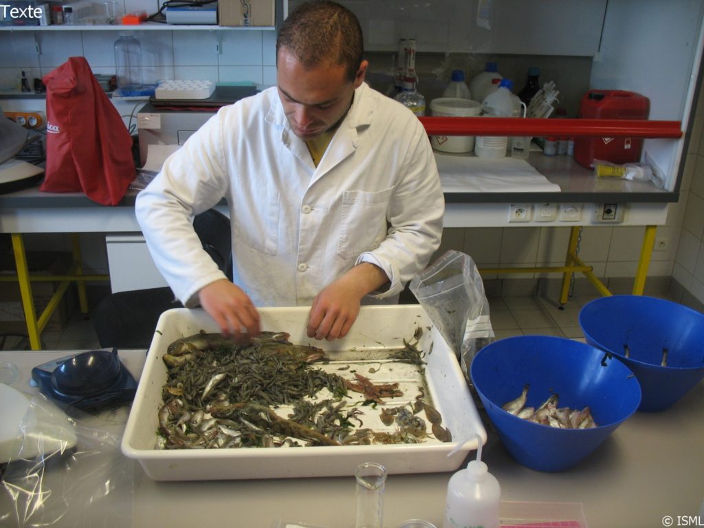 Institut des Sciences de la Mer et du Littoral