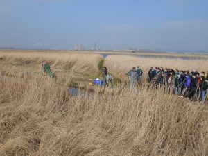 Institut des Sciences de la Mer
