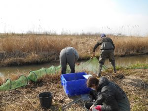 Institut des Sciences de la Mer et du Littoral